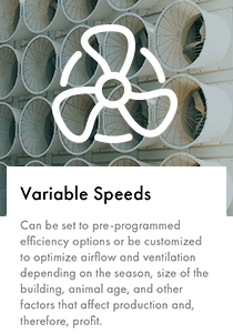 SP_VARIABLE SPEEDS_210x301.png