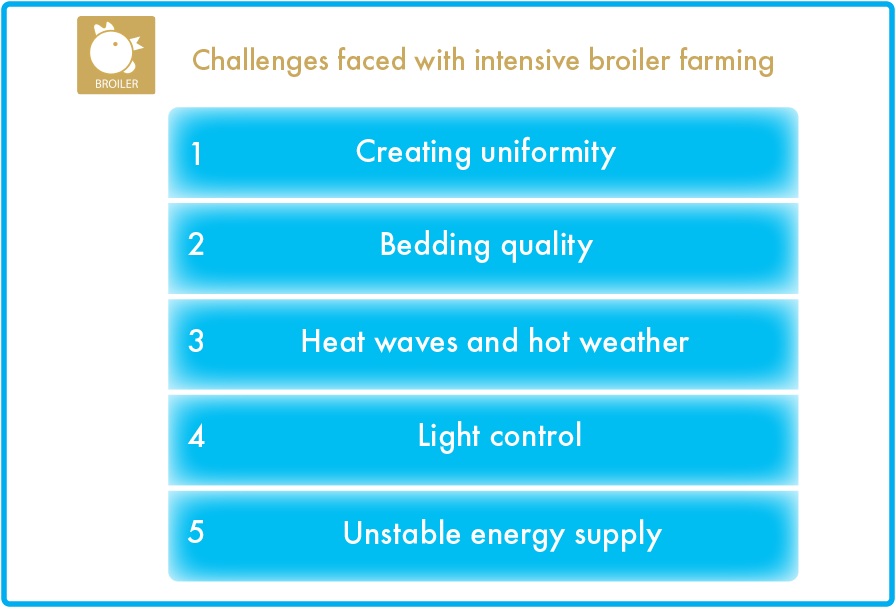 Broiler climate challenges