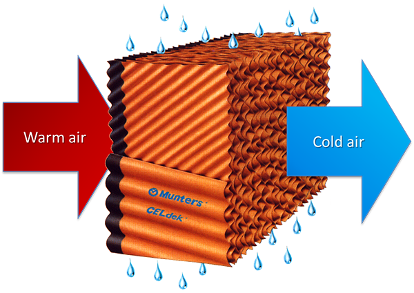 direct evaporative cooling