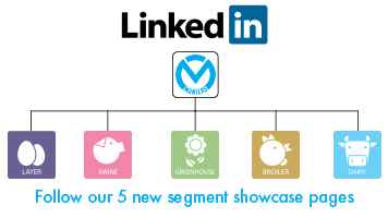 Showcase pages on Linked In