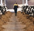 Ten ways to increase profitability for dairy farmers