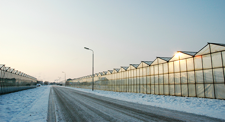 Greenhouse in cold climate