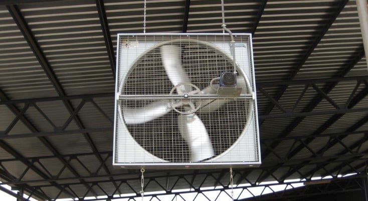 Circulation fan at a dairy farm