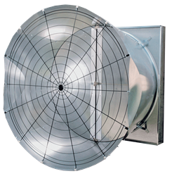 WF50 Exhaust fan with Dragonfly