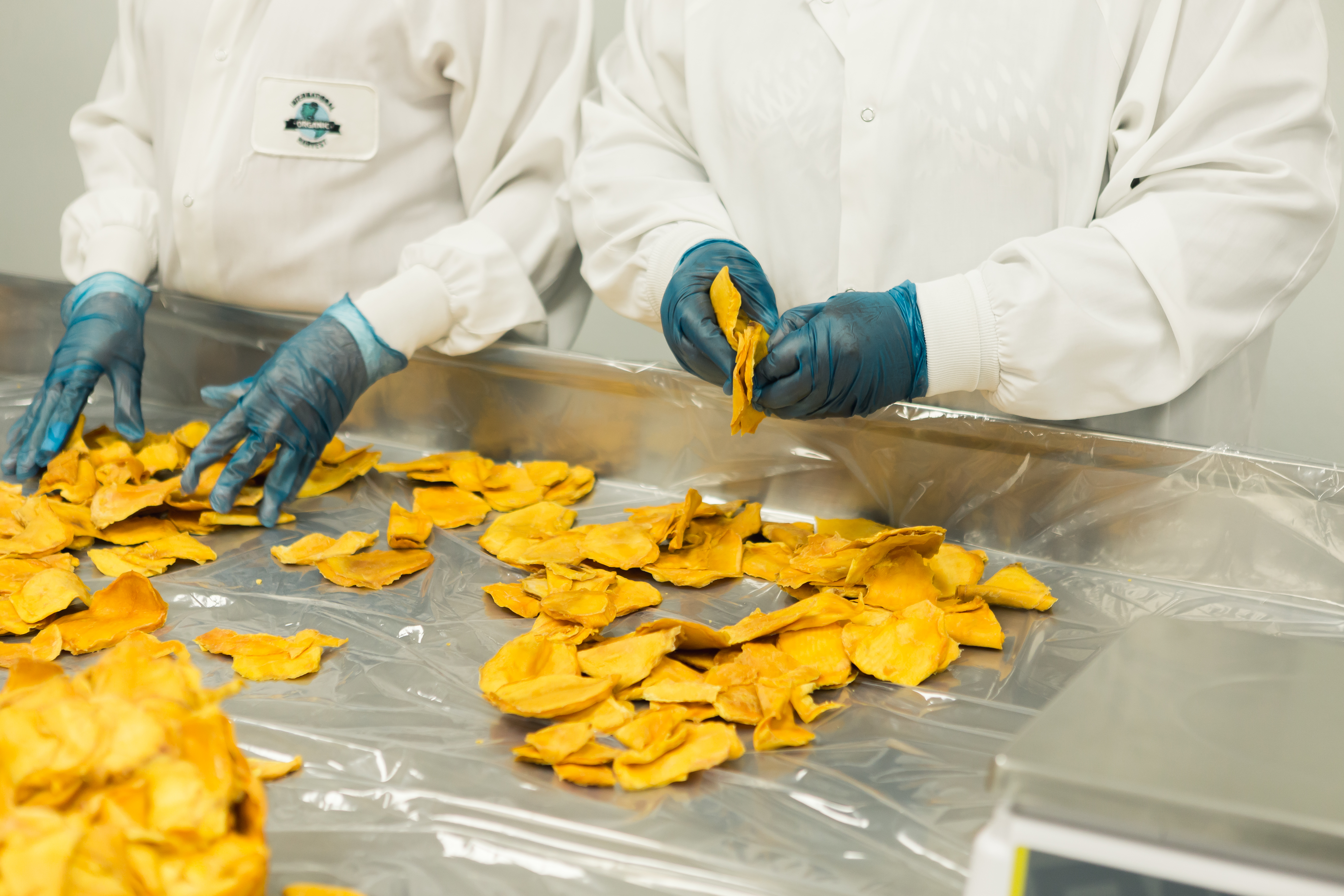 Food Industry Image