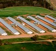Climate Control (Livestock & Greenhouses)