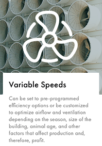 SP_VARIABLE SPEEDS_210x301.png