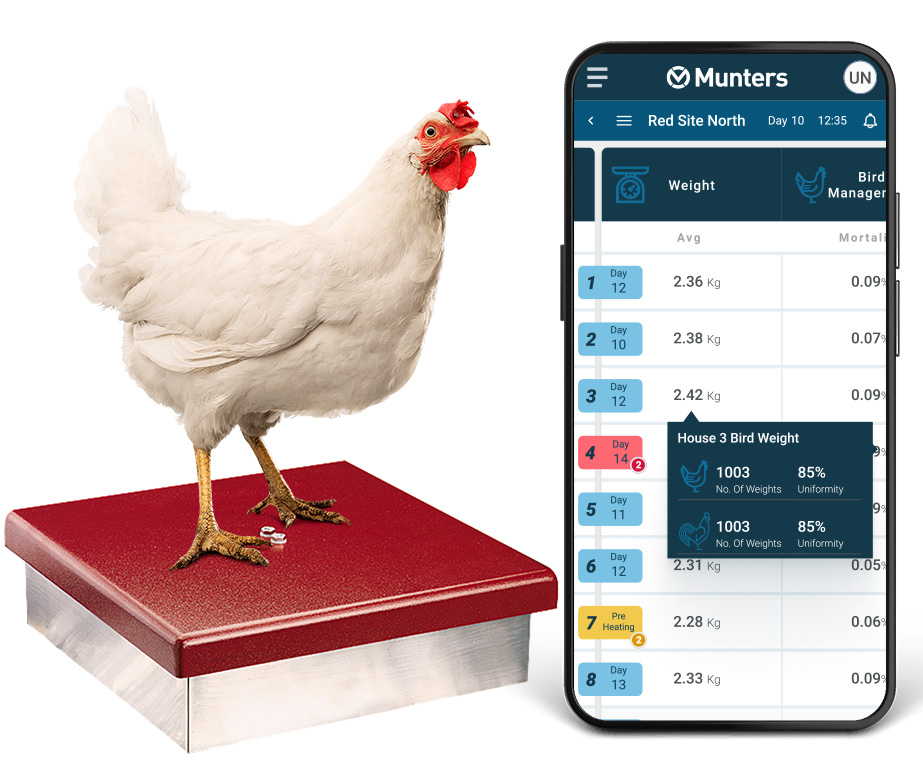 Poultry Broilers RBS scale and Trio app on Mobile device2.jpg