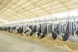 Landbrug – ventilation af kvægstald